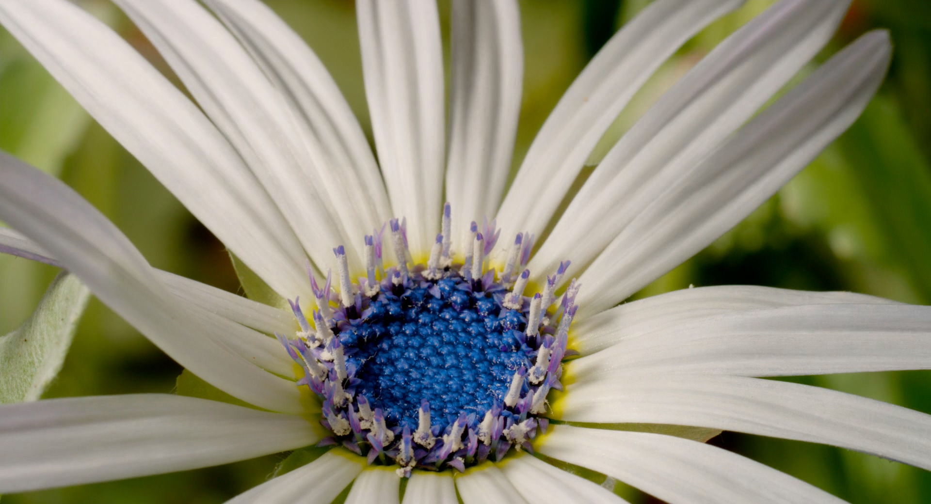 魔法王国剧照的剧照