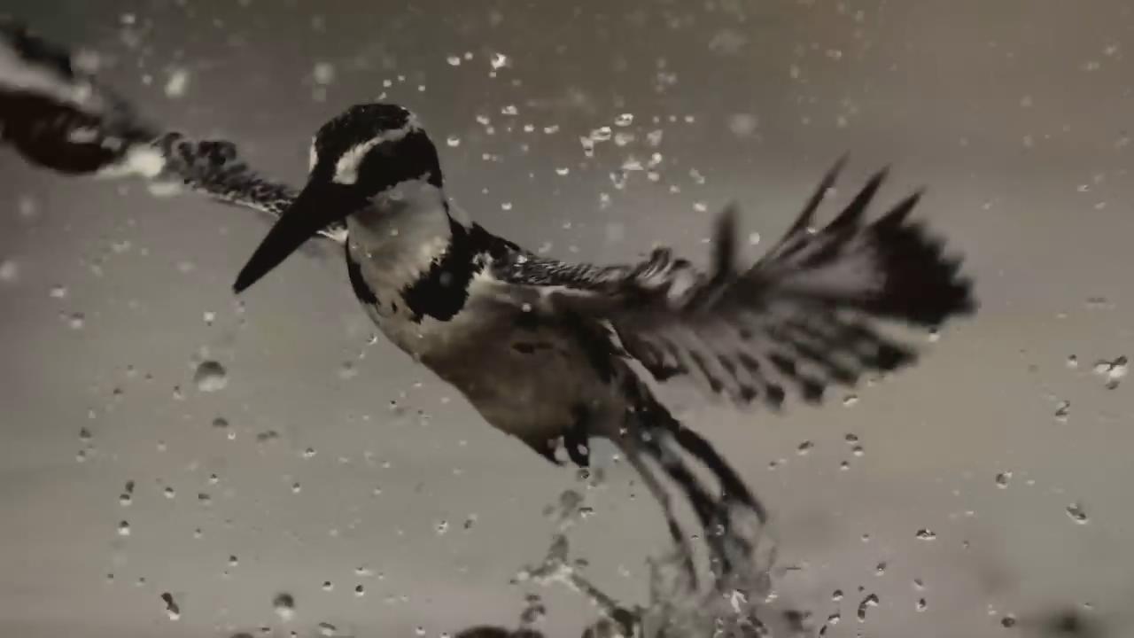 魔法王国剧照的剧照