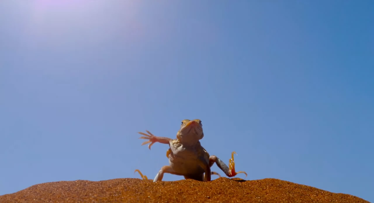 魔法王国剧照的剧照