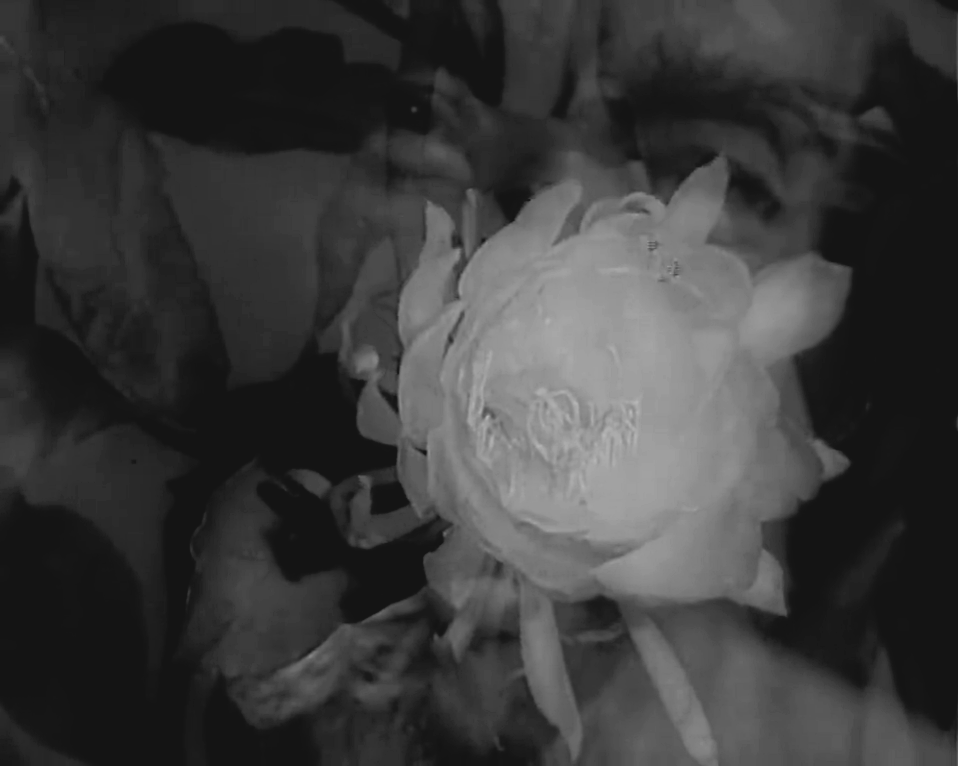 鲁班的传说剧照的剧照