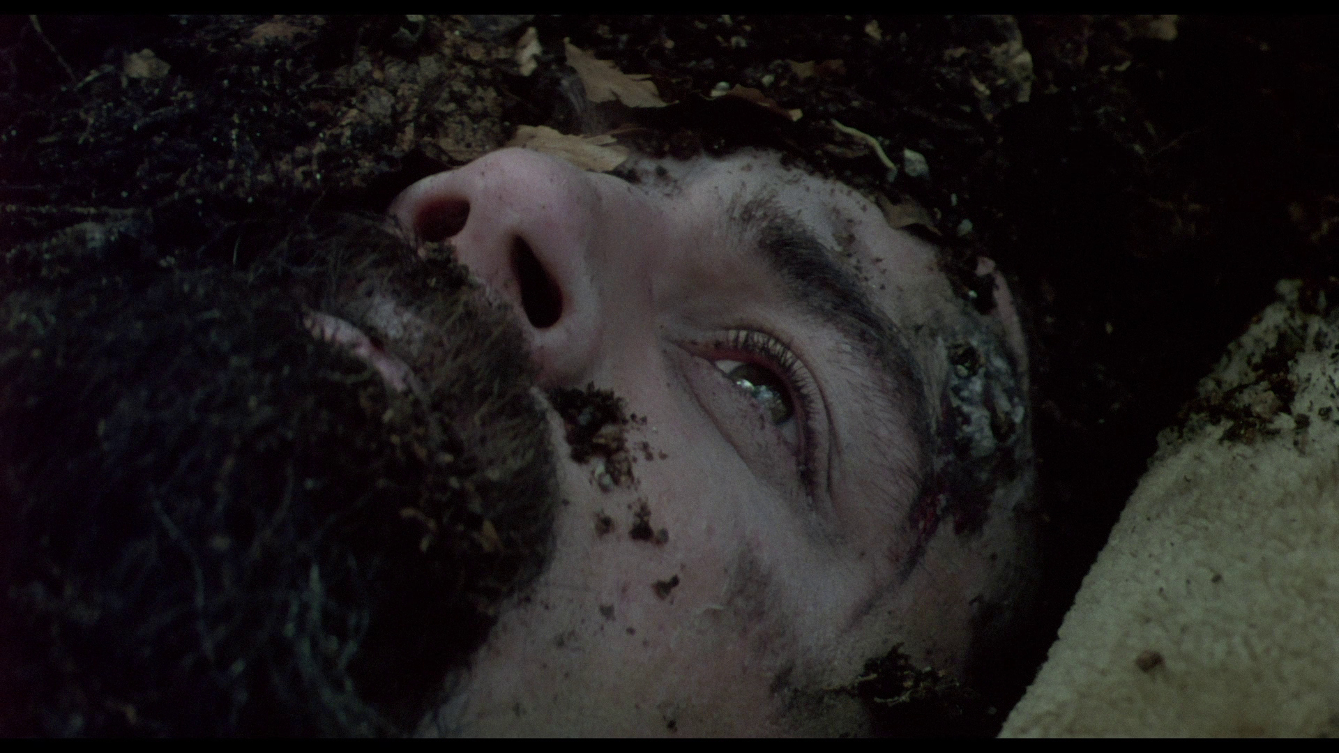 赦免剧照的剧照