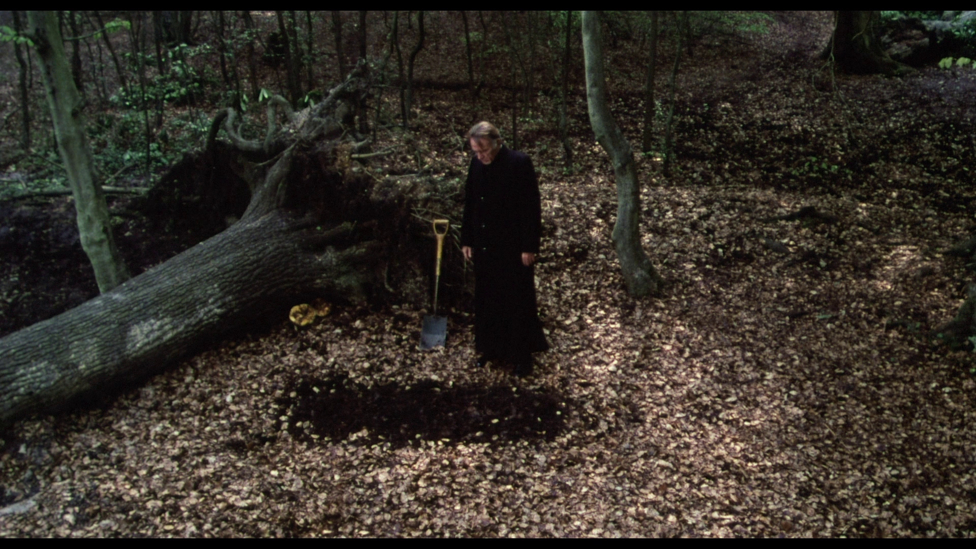 赦免剧照的剧照