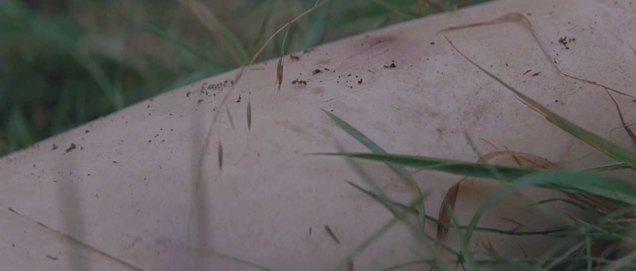 人啊人剧照的剧照