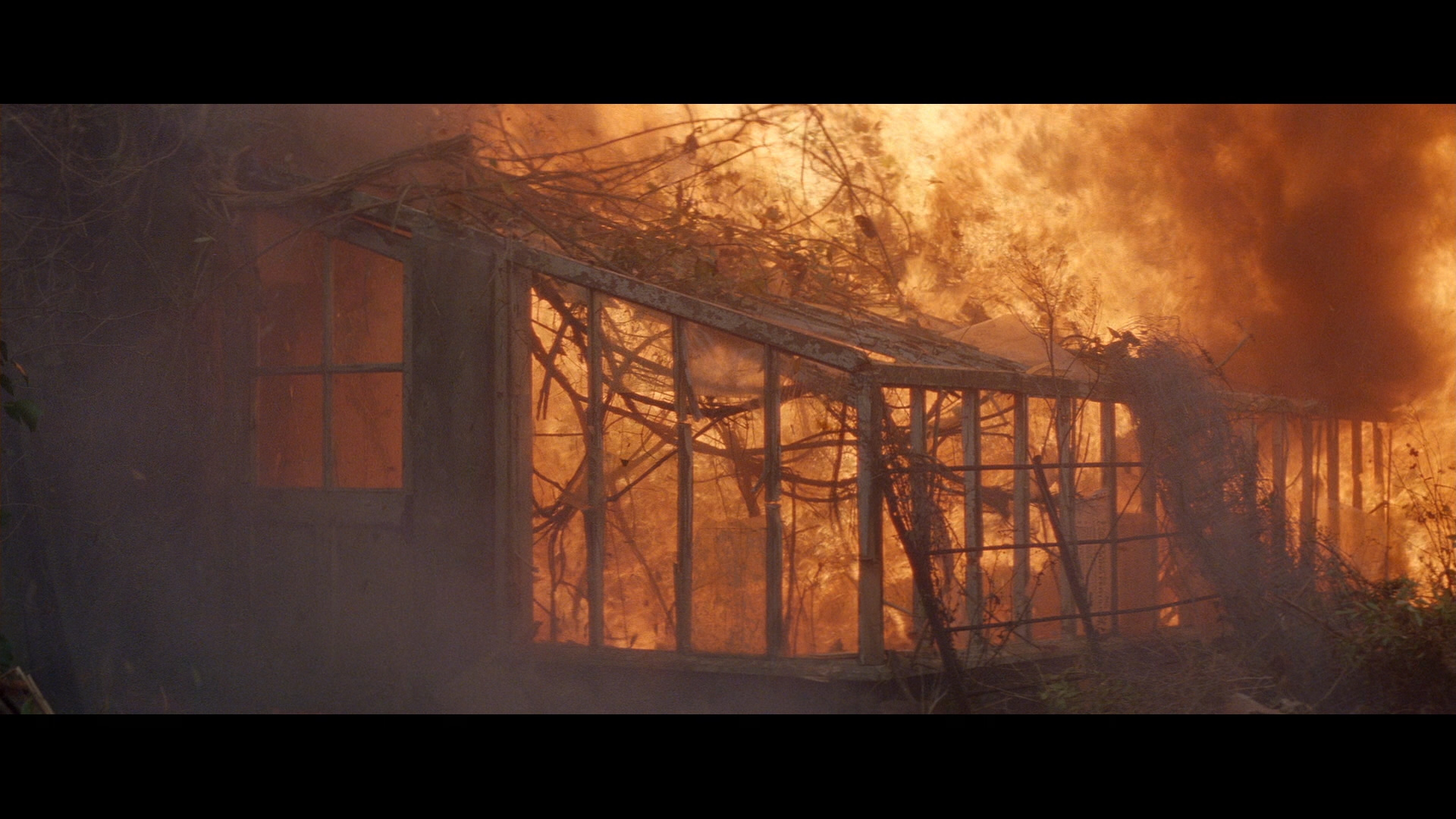 哭泣的游戏剧照的剧照