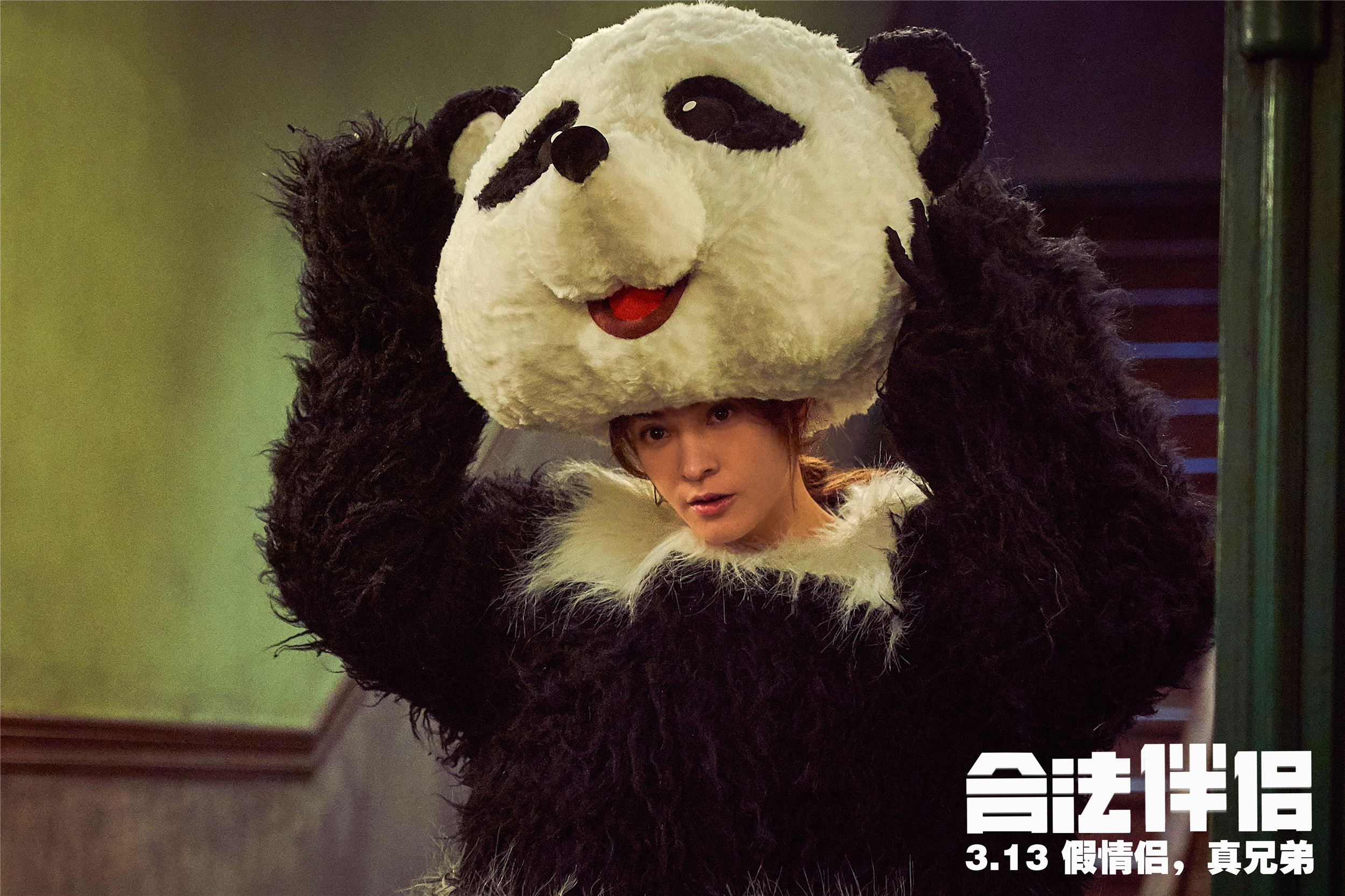 合法伴侣剧照的剧照