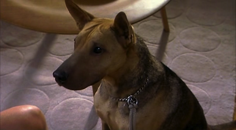 今夜狂欢心事多剧照的剧照