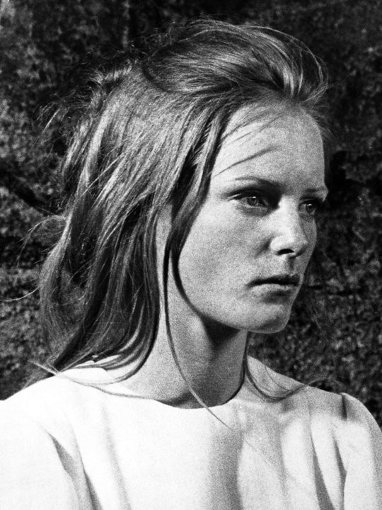 奇兵定江山剧照的剧照