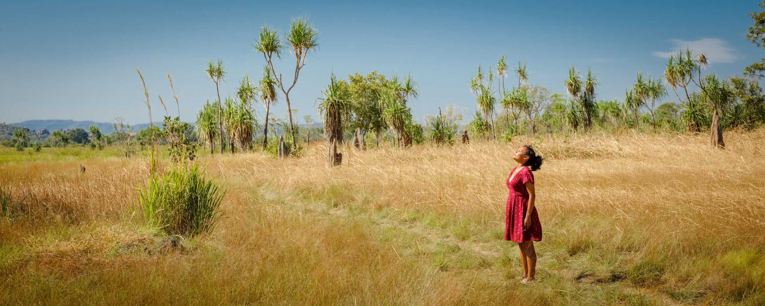 无上婚宴剧照的剧照