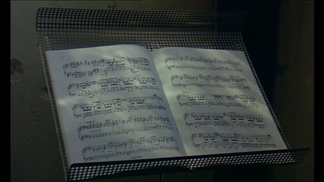 情殇玫瑰园剧照的剧照