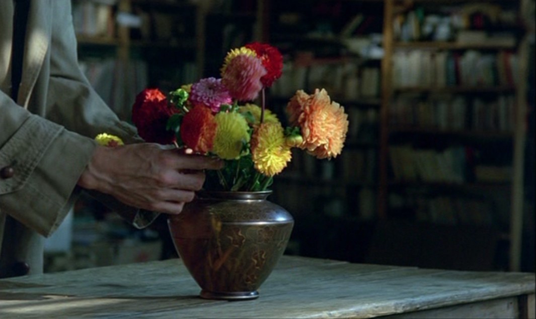 情殇玫瑰园剧照的剧照