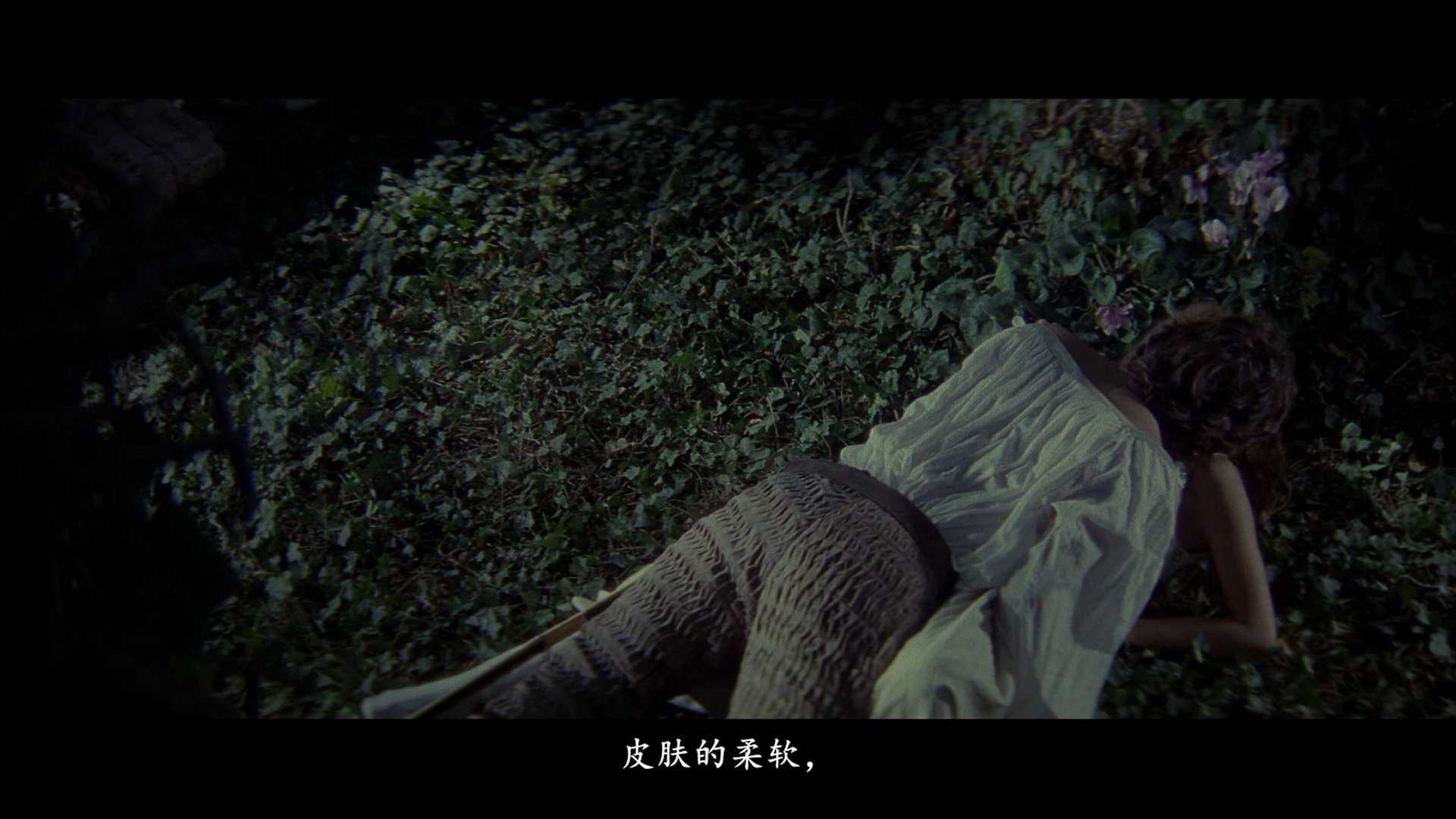 塞莱斯蒂娜剧照的剧照