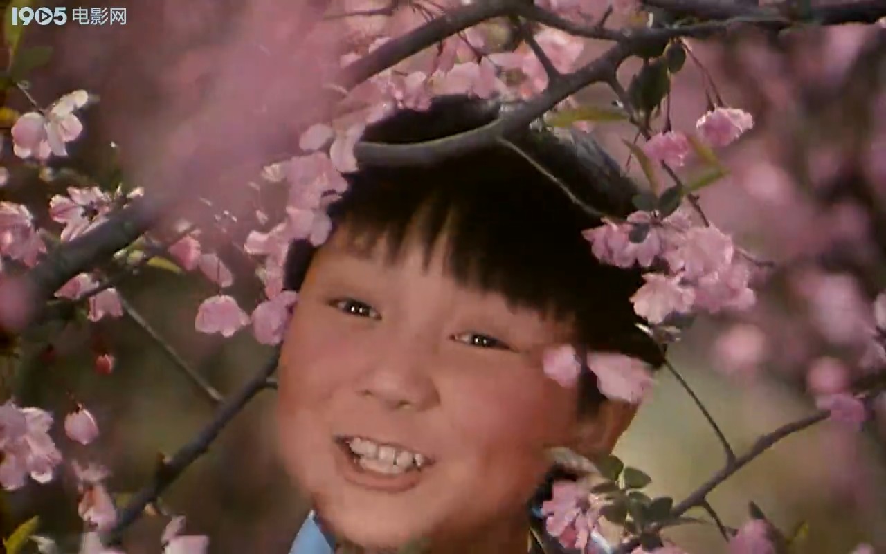 小歌星剧照的剧照