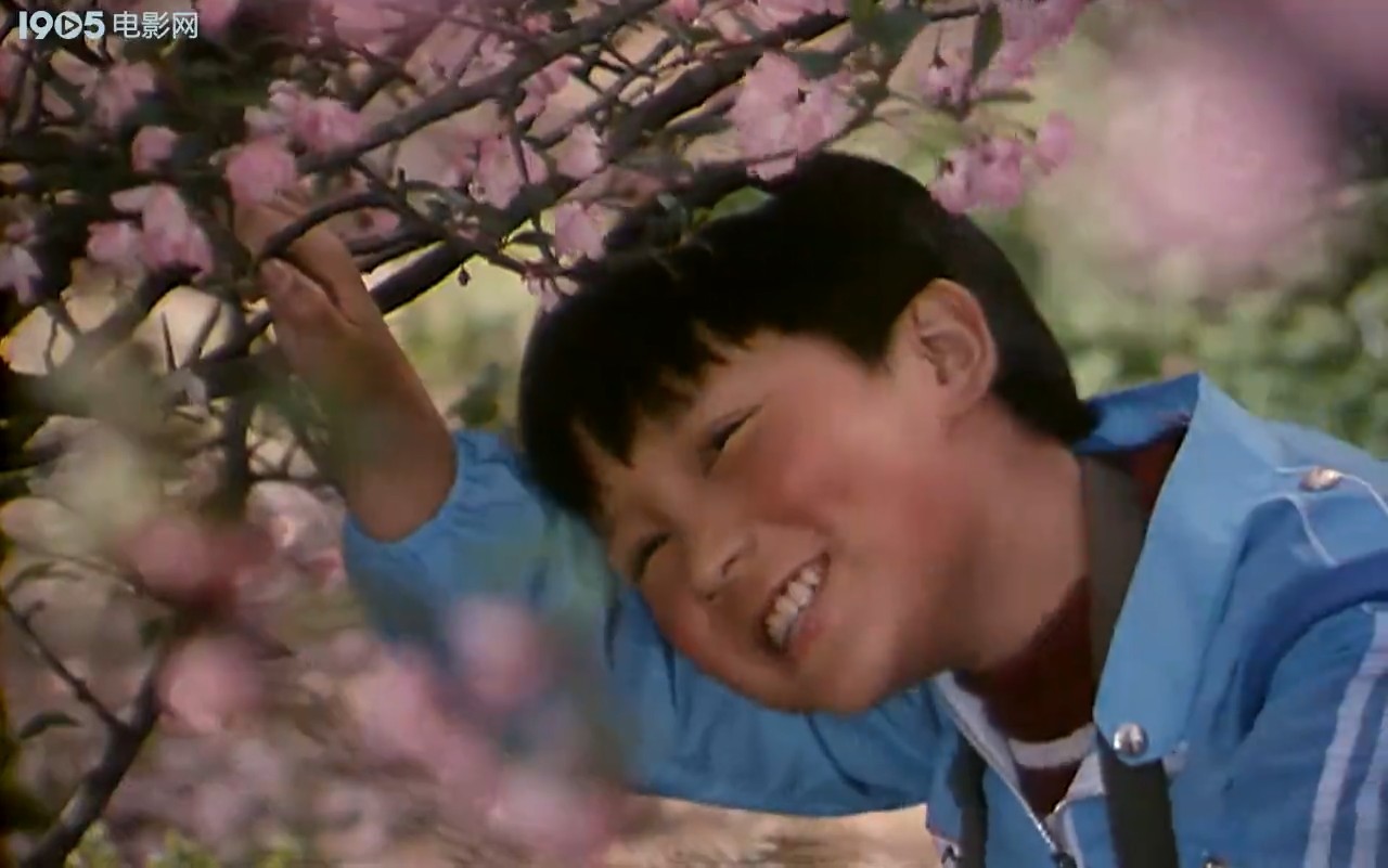 小歌星剧照的剧照