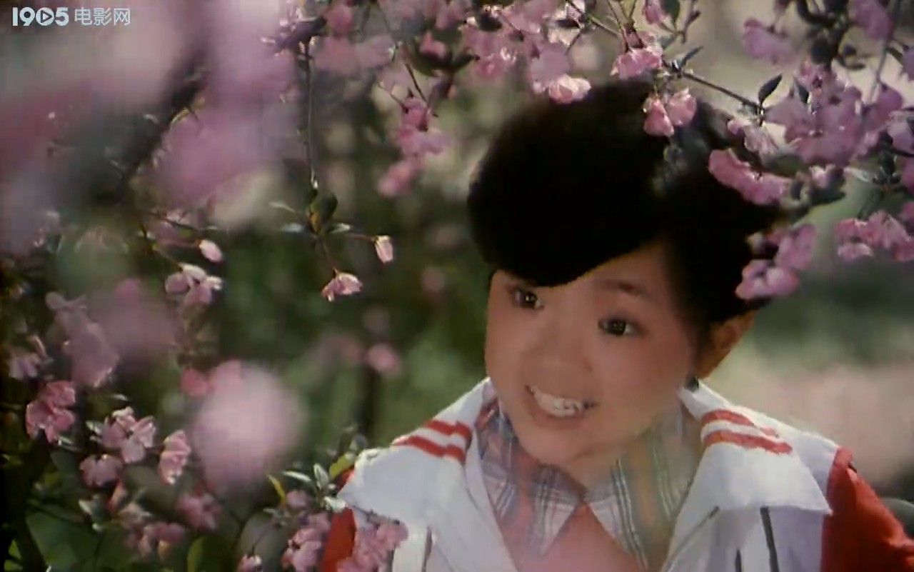 小歌星剧照的剧照