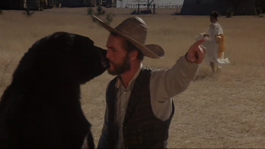 夺命判官剧照的剧照