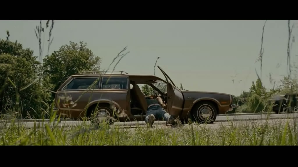 美国鸟类剧照的剧照