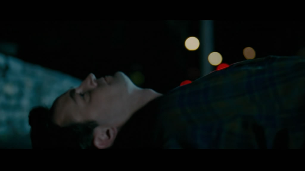 美国鸟类剧照的剧照