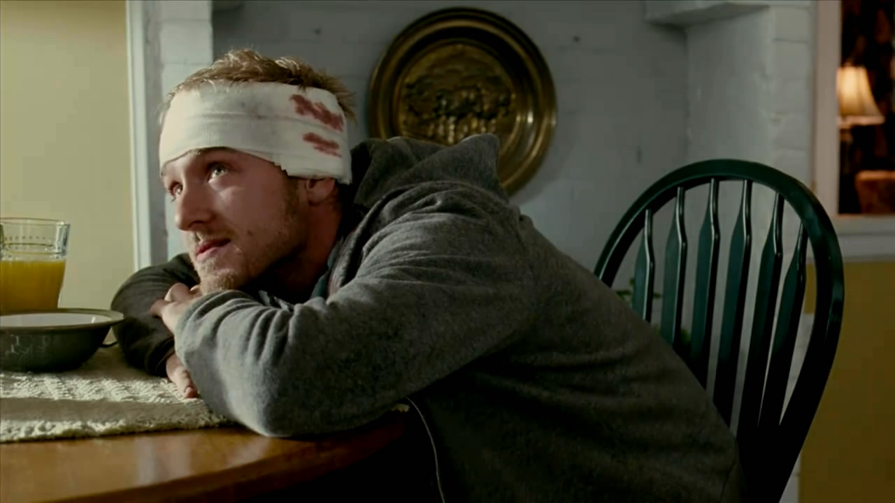 美国鸟类剧照的剧照