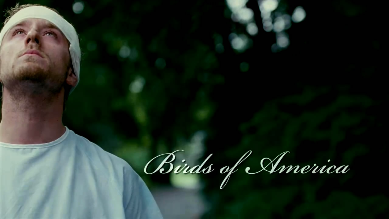 美国鸟类剧照的剧照