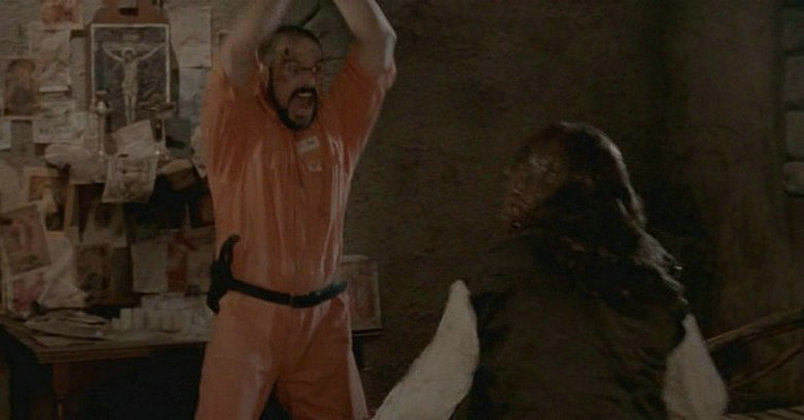 血屋剧照的剧照