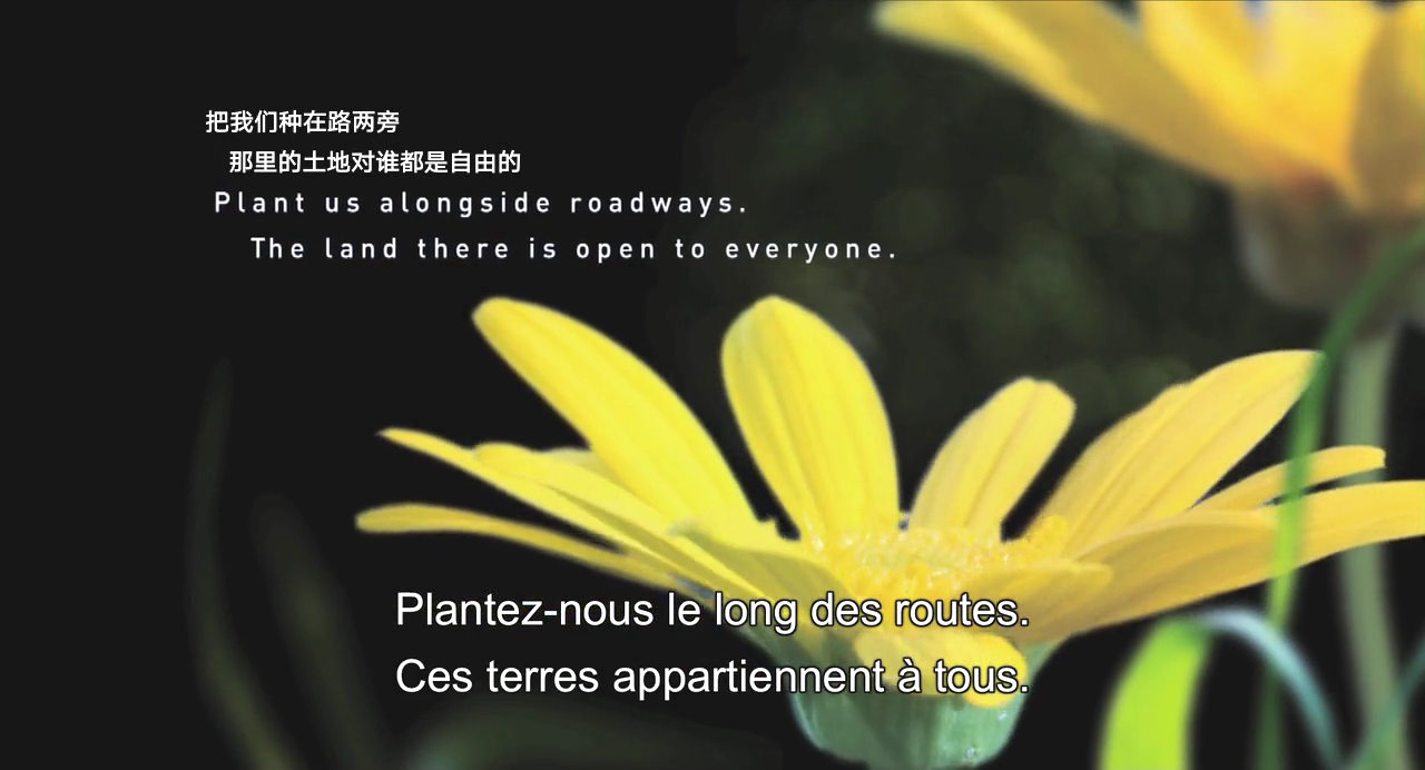 生命之翼剧照的剧照