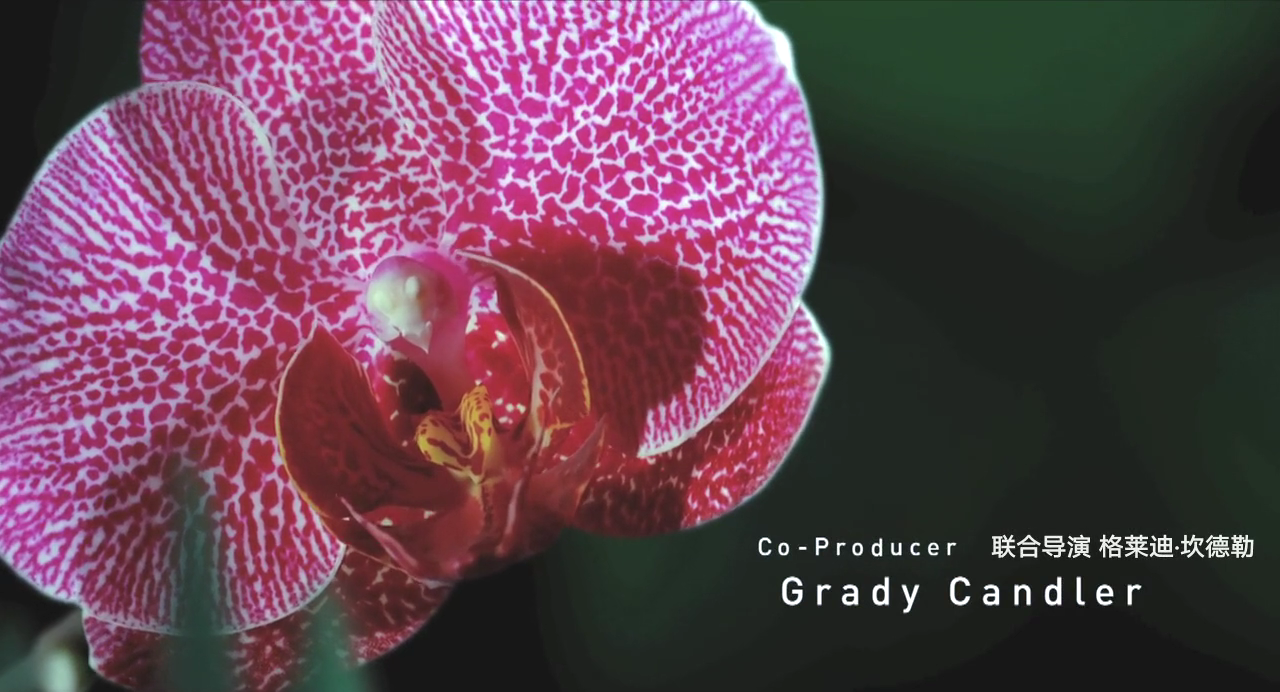 生命之翼剧照的剧照