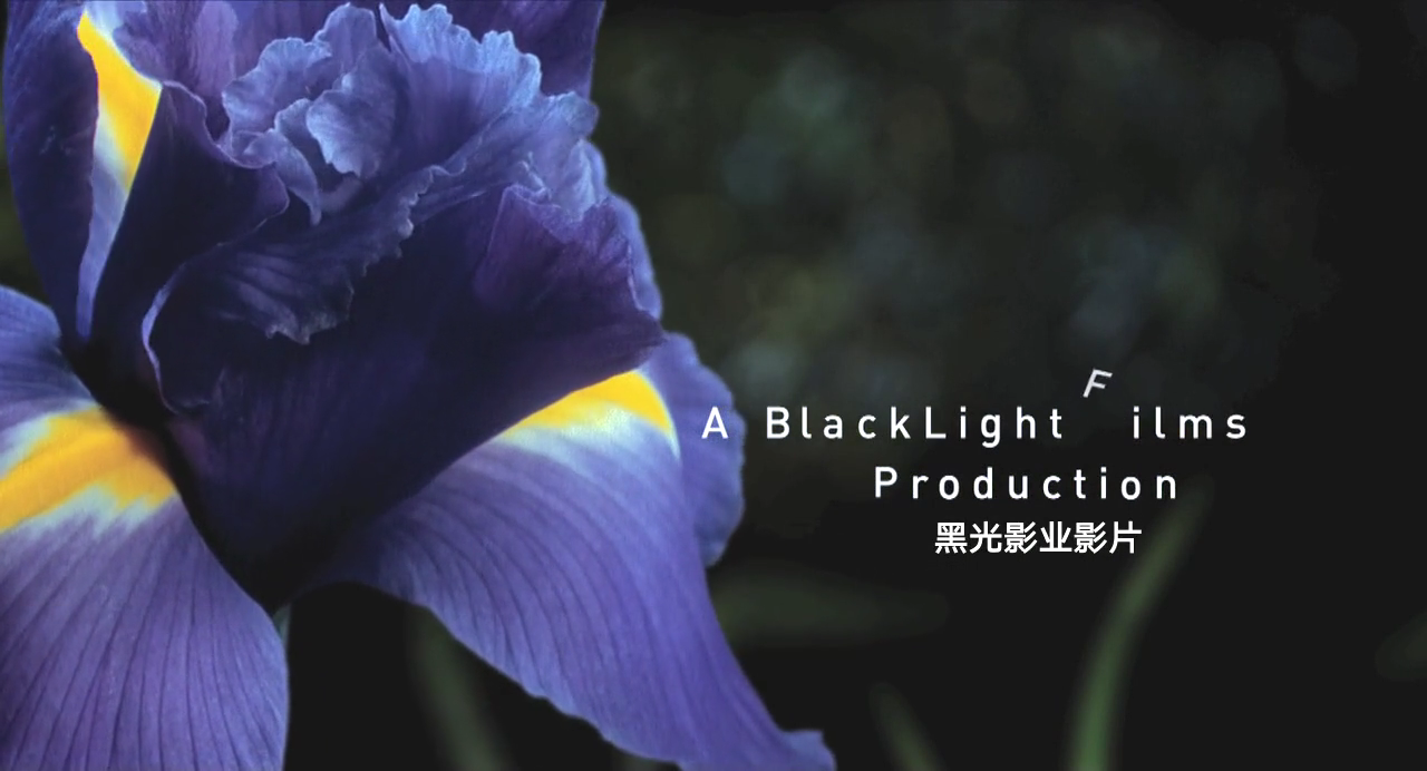 生命之翼剧照的剧照