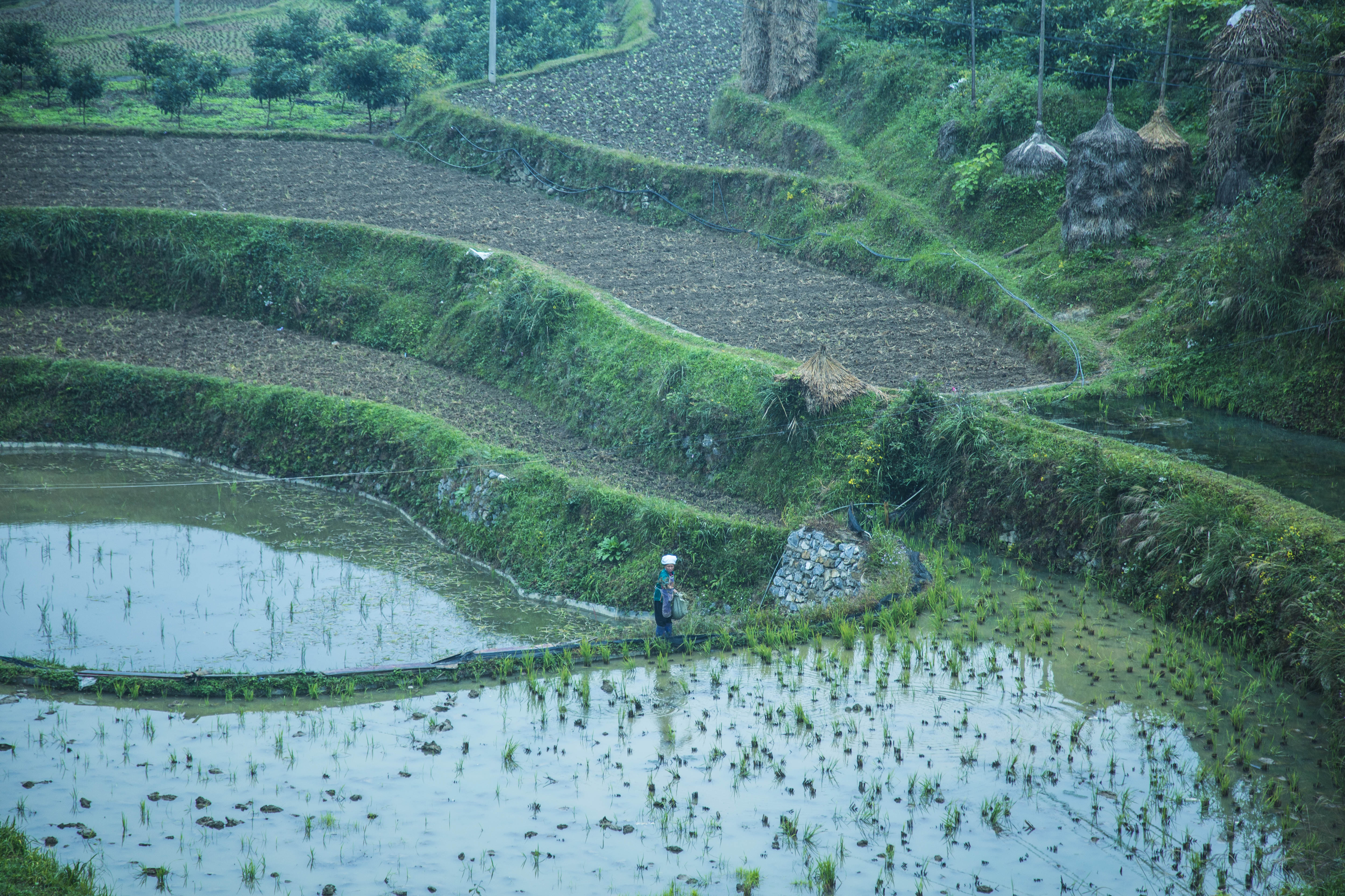 夺命剑之喋血江湖剧照的剧照