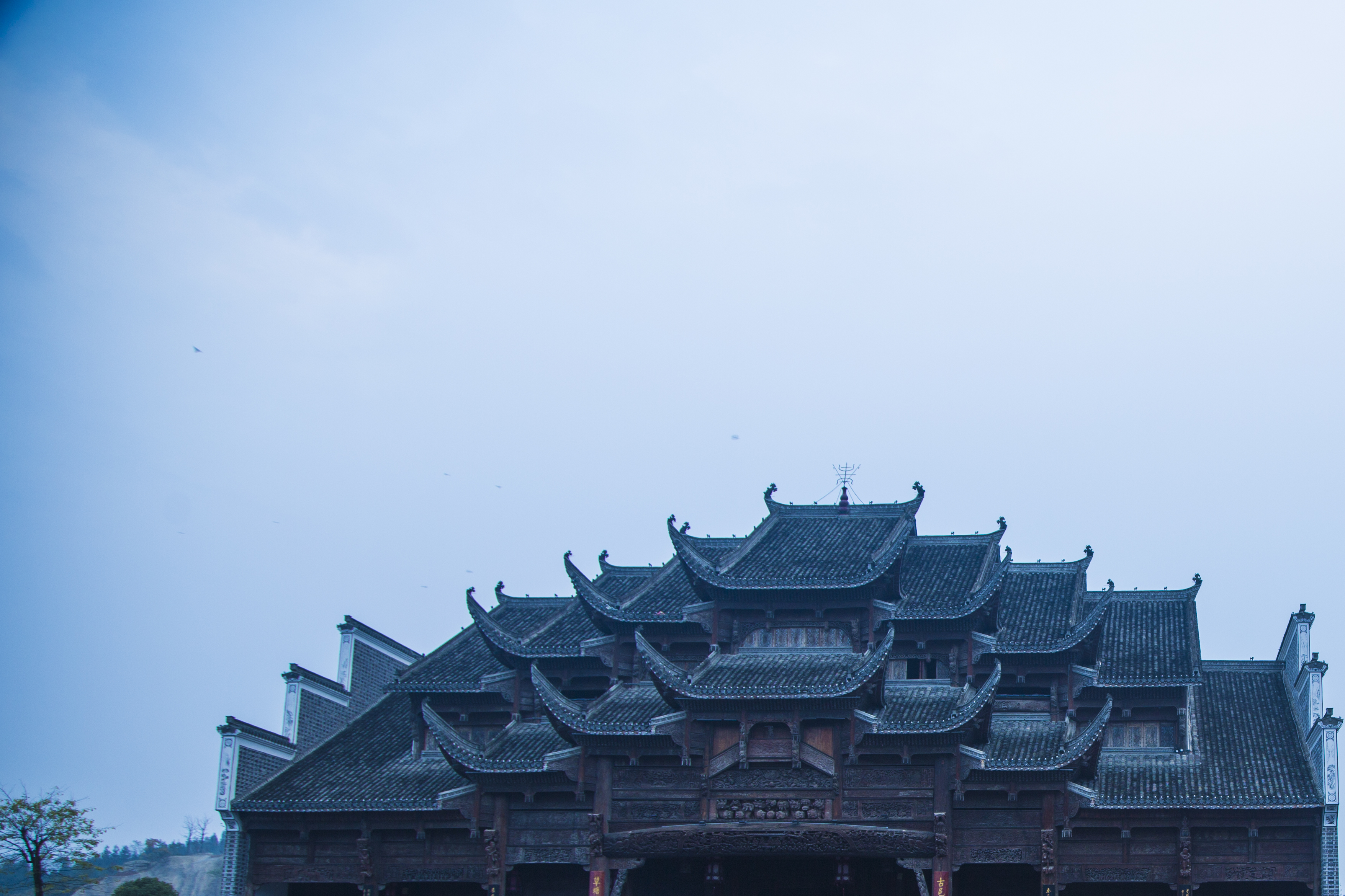 夺命剑之喋血江湖剧照的剧照