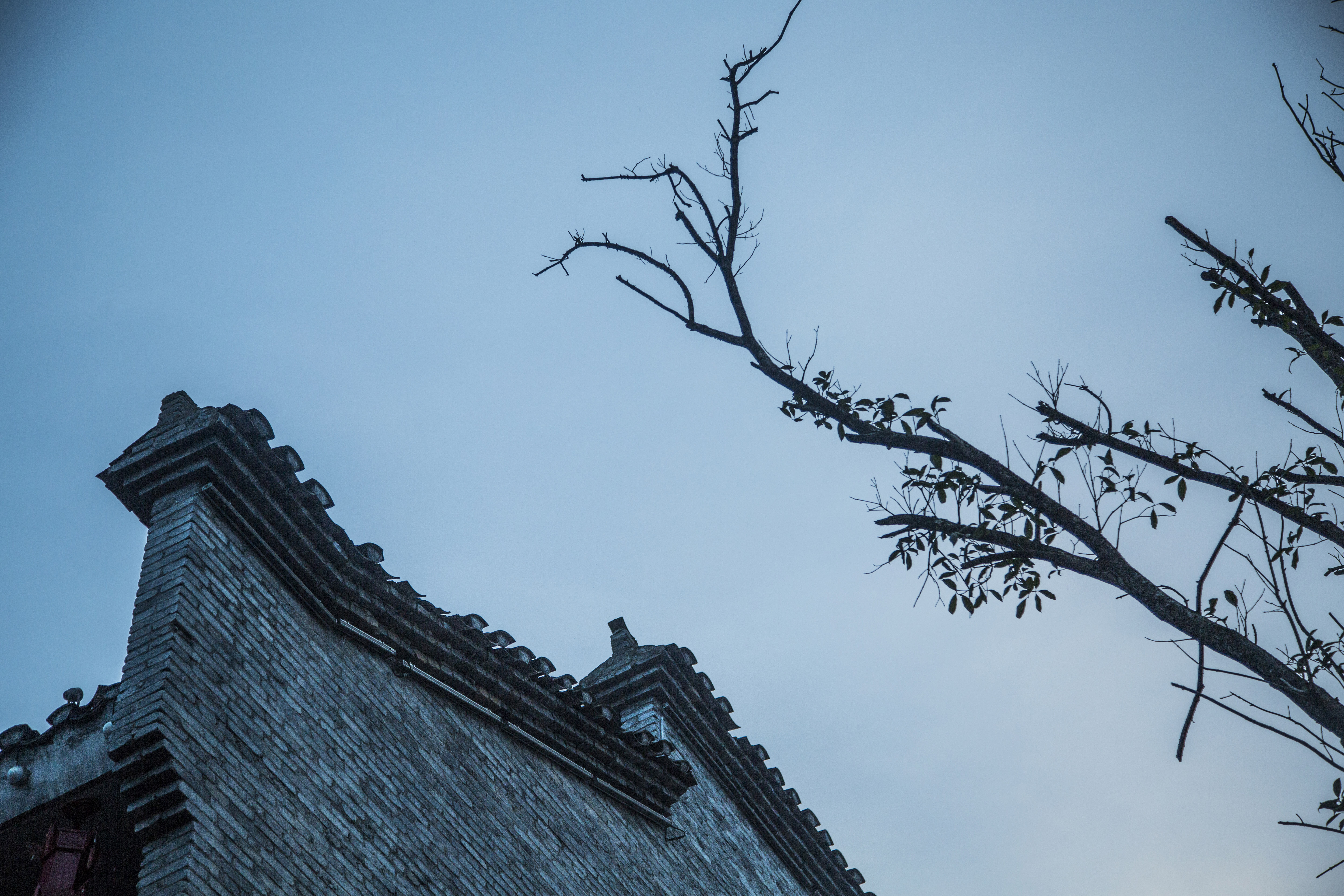 夺命剑之喋血江湖剧照的剧照