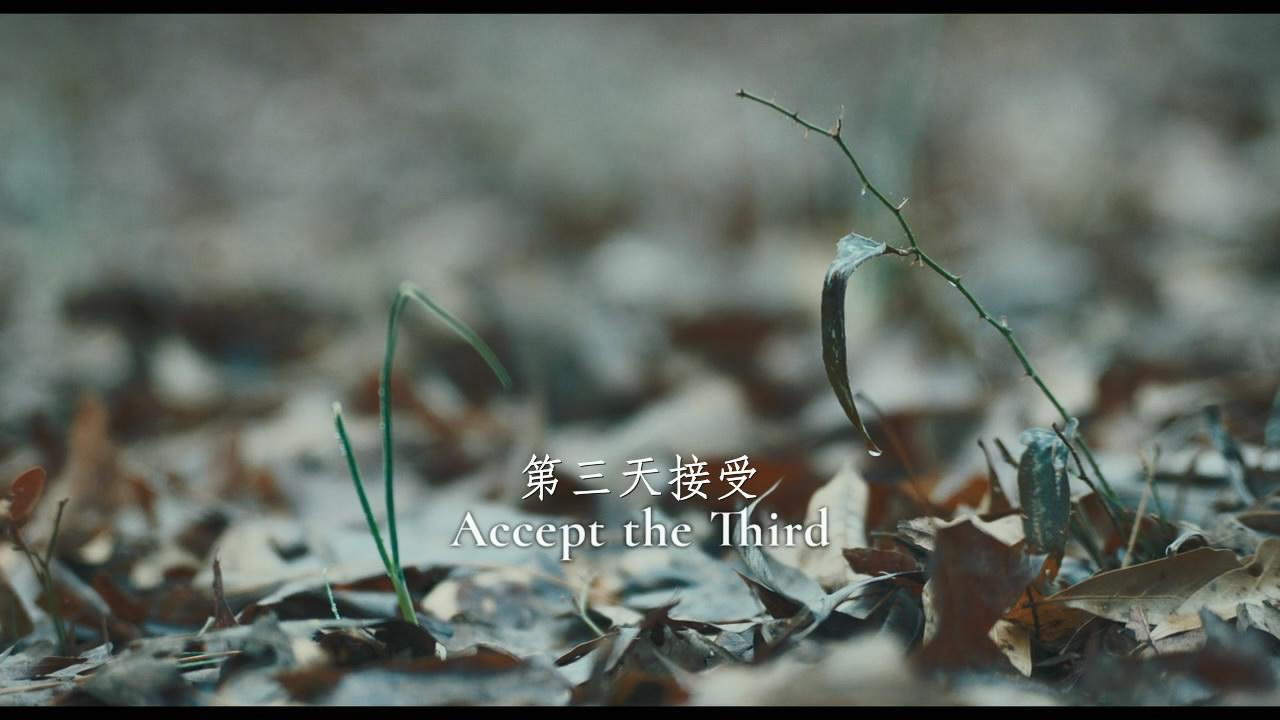 天呐，太棒了剧照的剧照