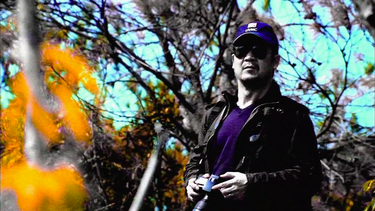 大搜查之女剧照的剧照