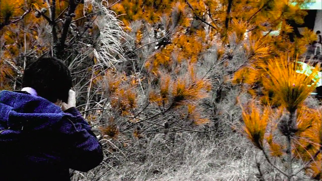 大搜查之女剧照的剧照