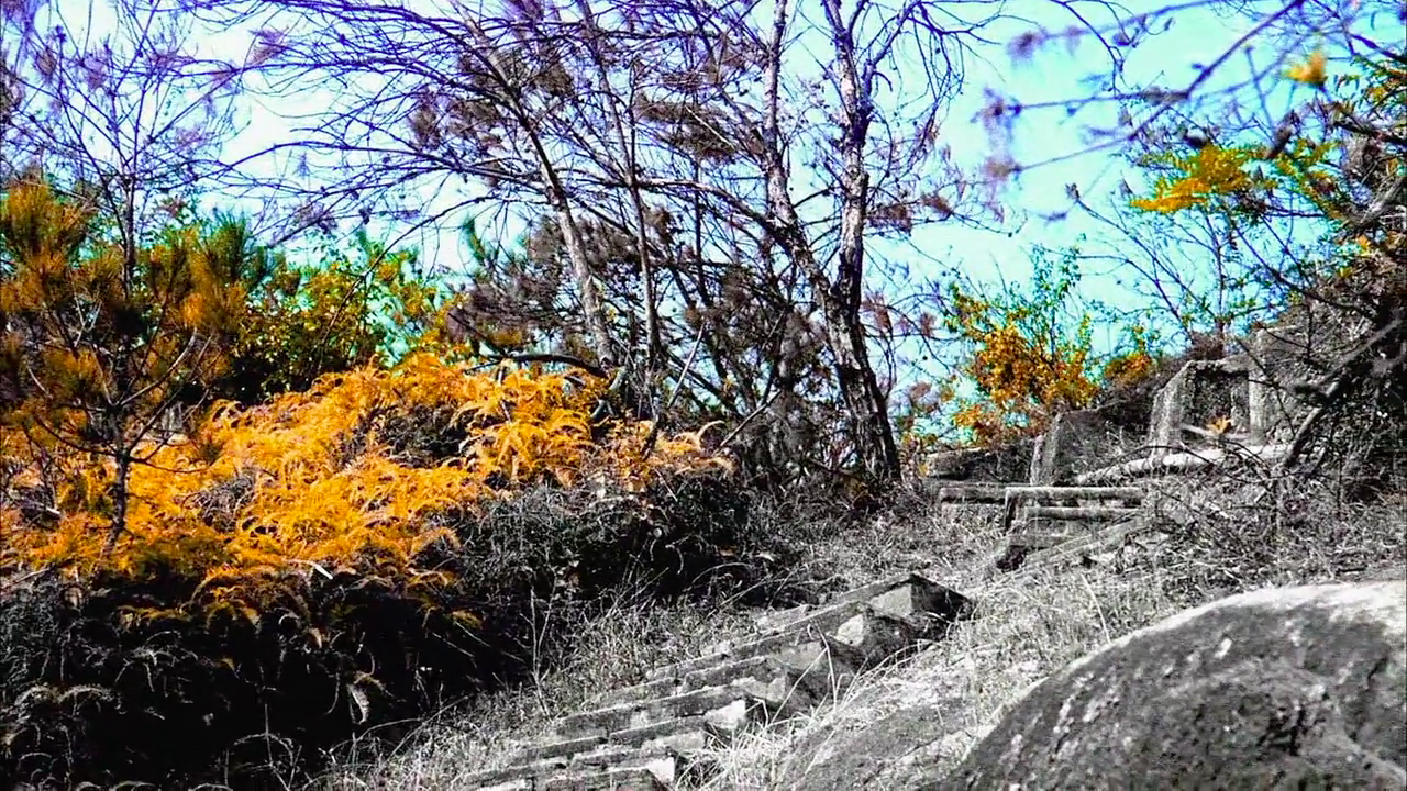 大搜查之女剧照的剧照