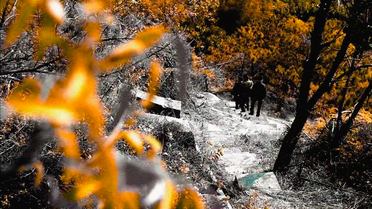 大搜查之女剧照的剧照