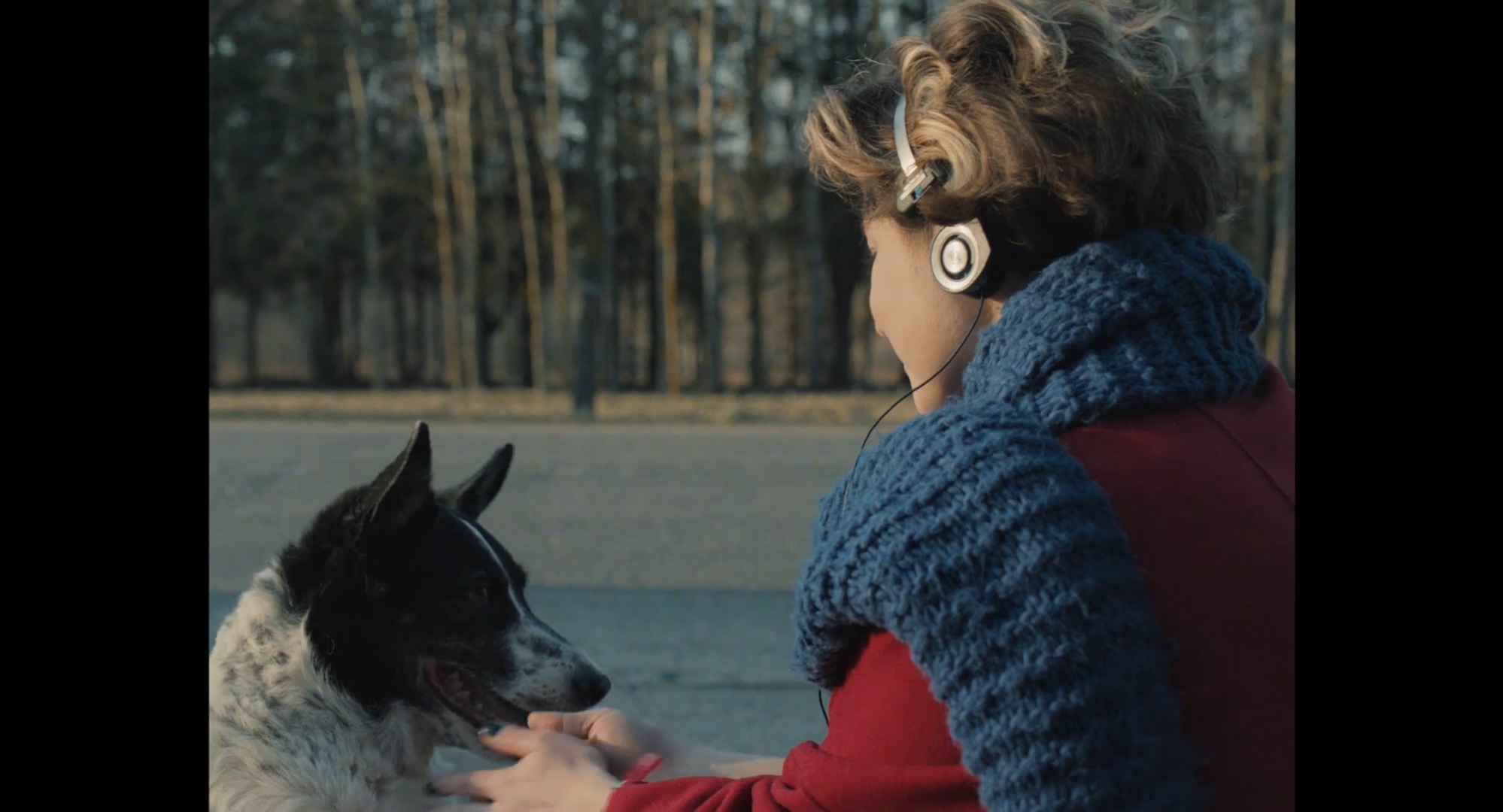 水晶天鹅剧照的剧照