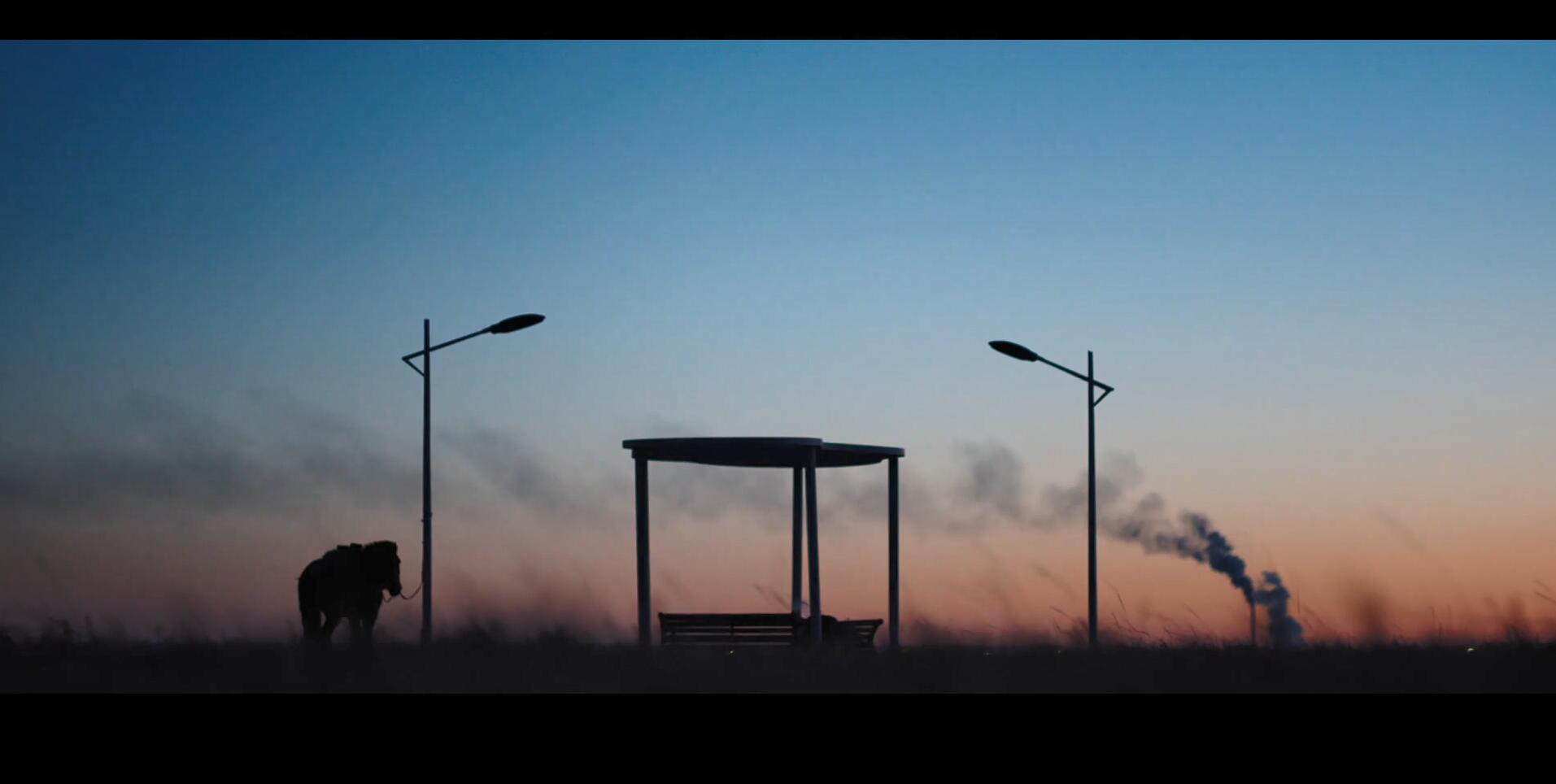 恐龙蛋剧照的剧照