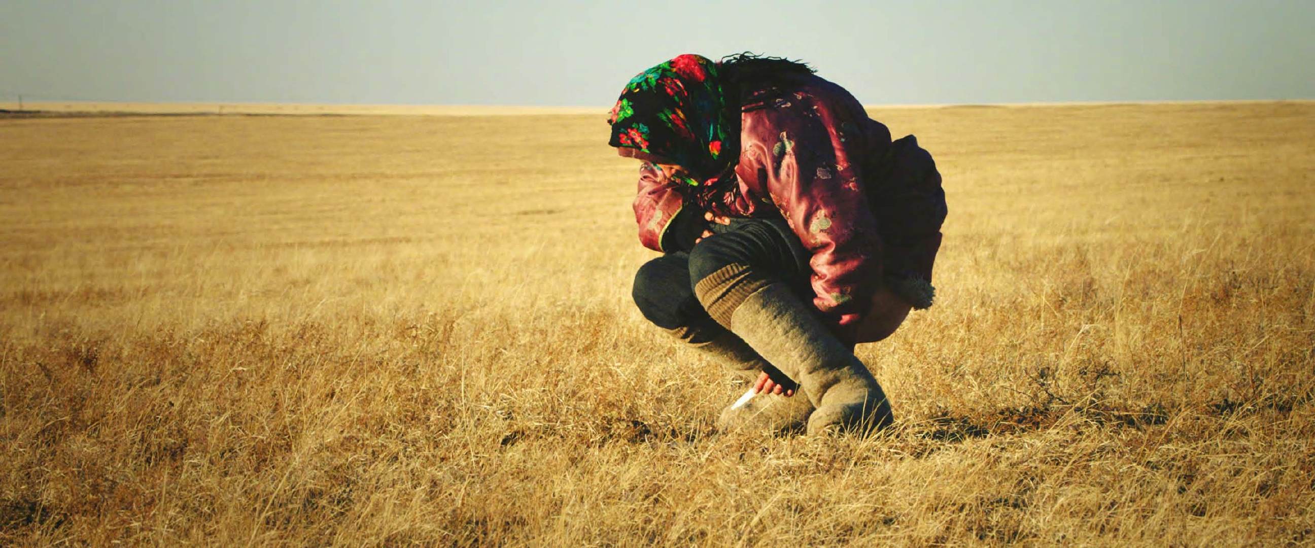 恐龙蛋剧照的剧照