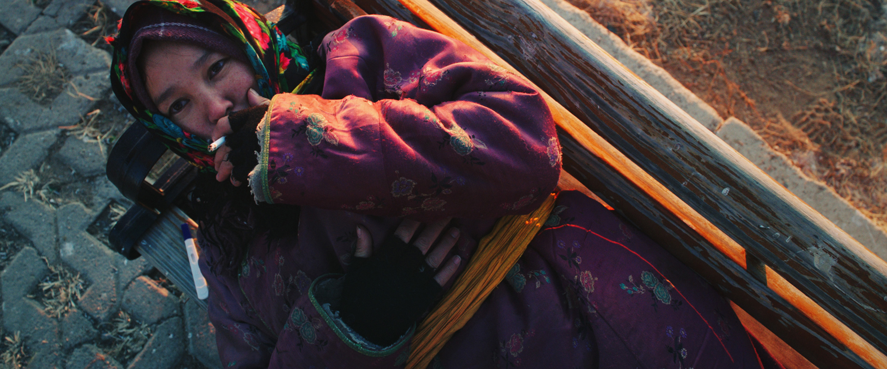 恐龙蛋剧照的剧照