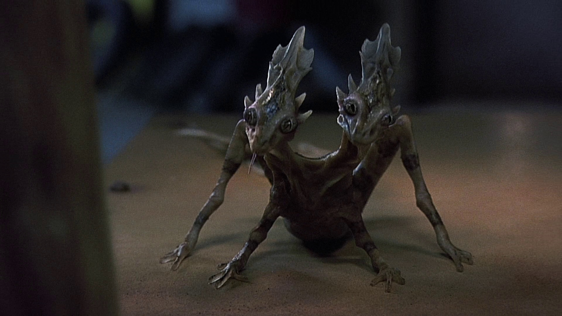 感官游戏剧照的剧照