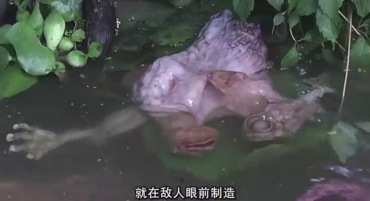 感官游戏剧照的剧照