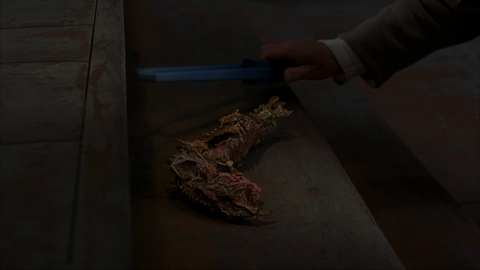 感官游戏剧照的剧照