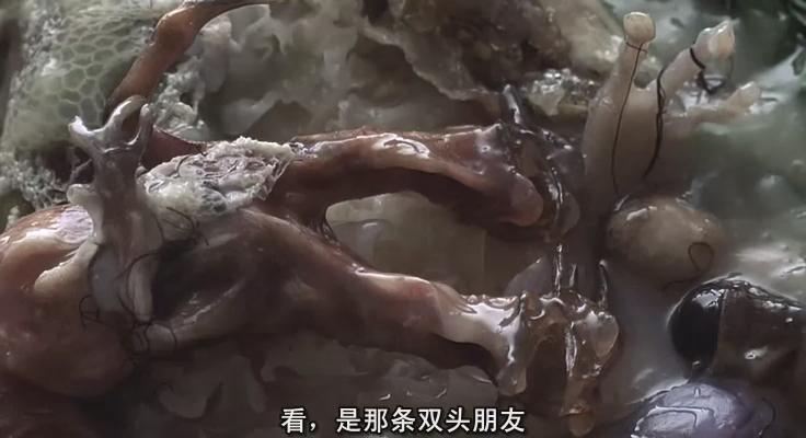 感官游戏剧照的剧照