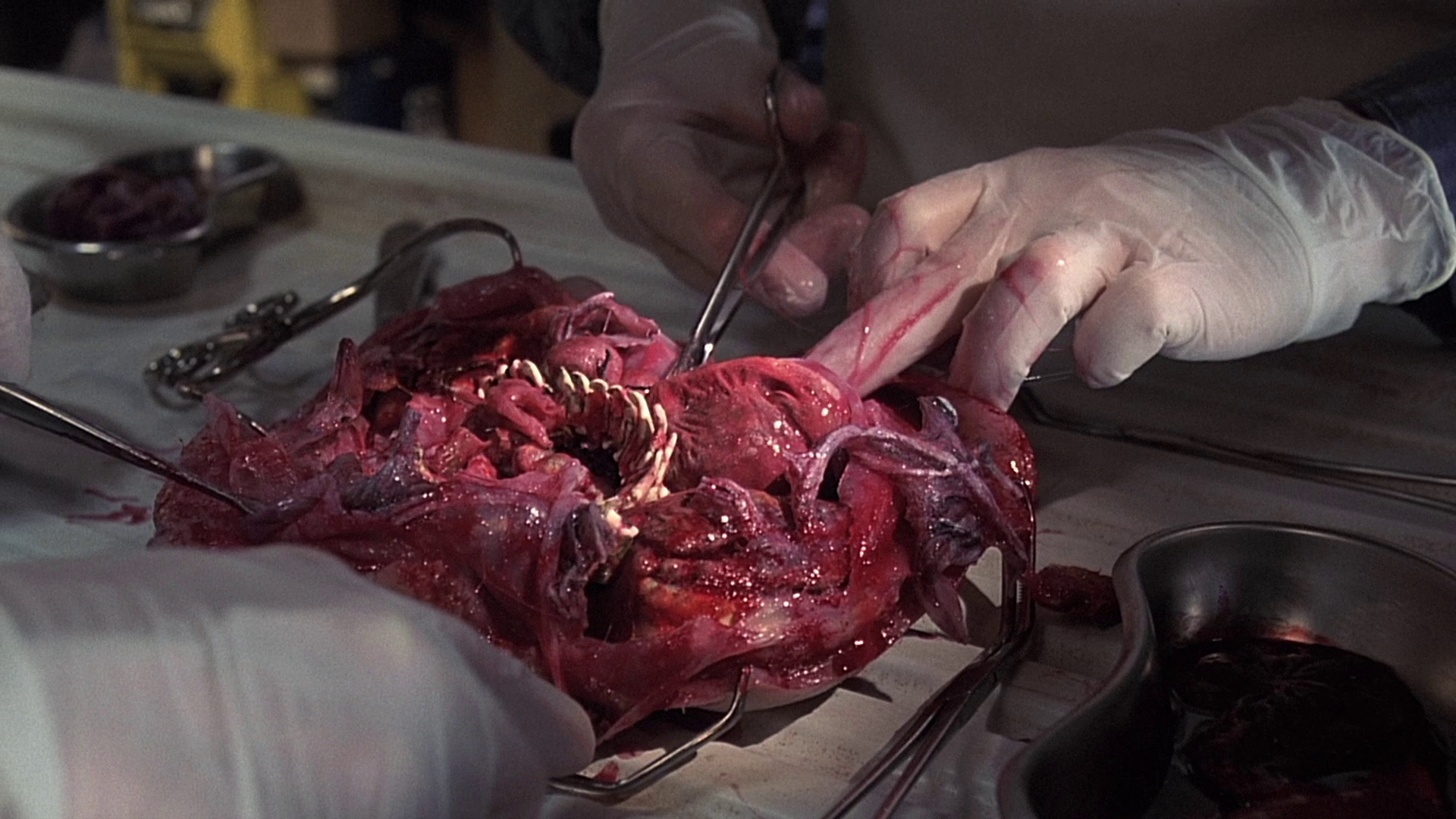 感官游戏剧照的剧照