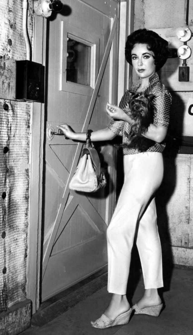 朱门巧妇剧照的剧照