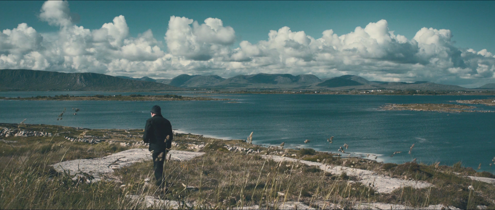 泊岸剧照的剧照