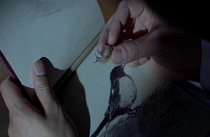 奇谈剧照的剧照