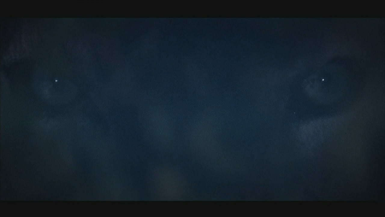 黑夜幽灵剧照的剧照