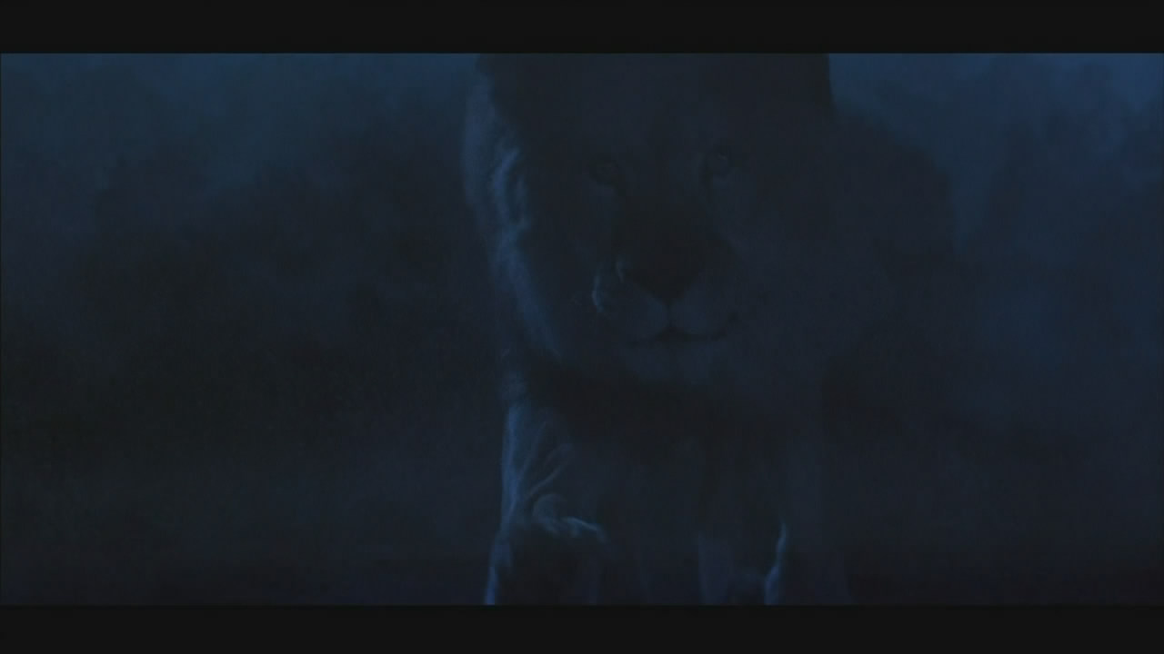 黑夜幽灵剧照的剧照