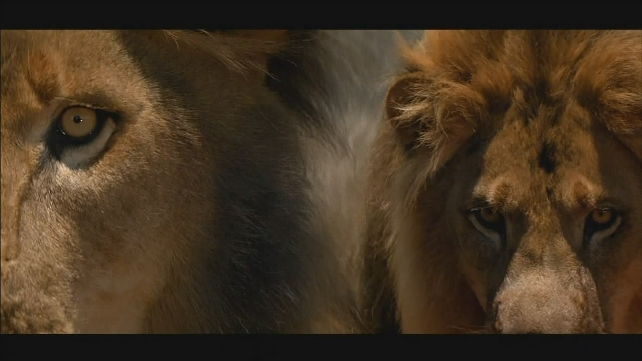 黑夜幽灵剧照的剧照